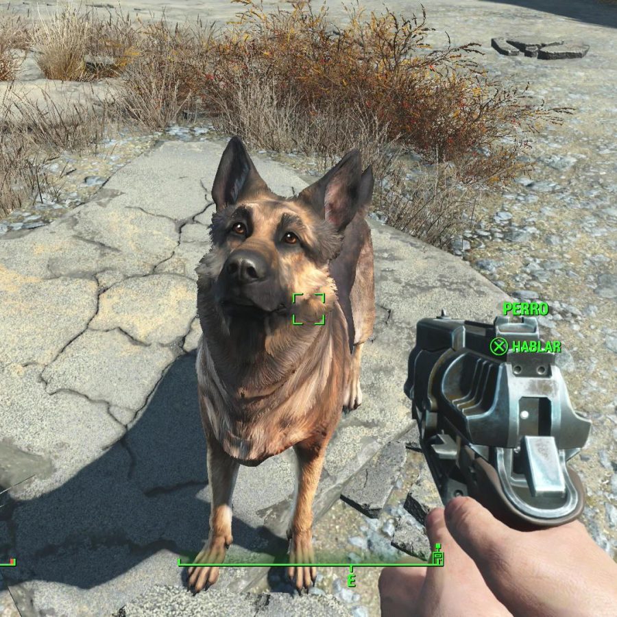 Fallout 4 собака считается спутником фото 108